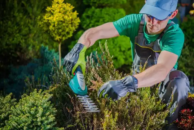 landscaping services Imperial